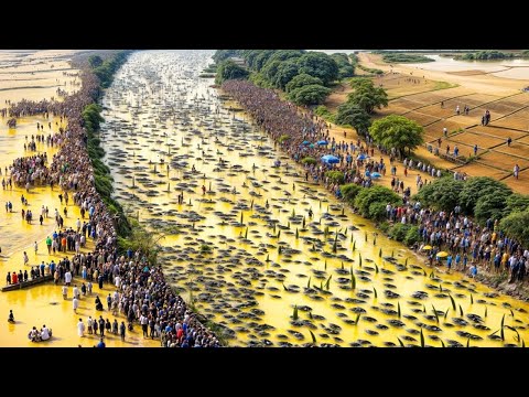 Видео: Посмотрите, Что Происходит в Самой Опасной Реке в Мире