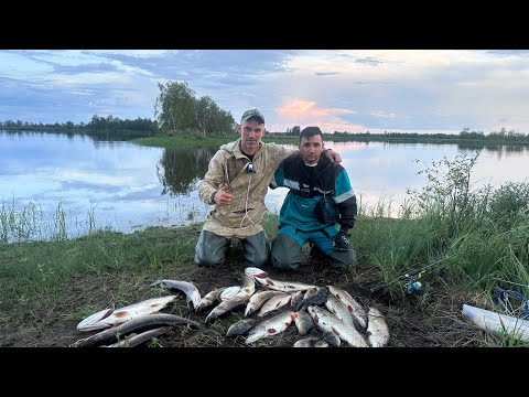 Видео: Попали на настоящую ЯМАЛЬСКУЮ РЫБАЛКУ. ЧАСТЬ 1.