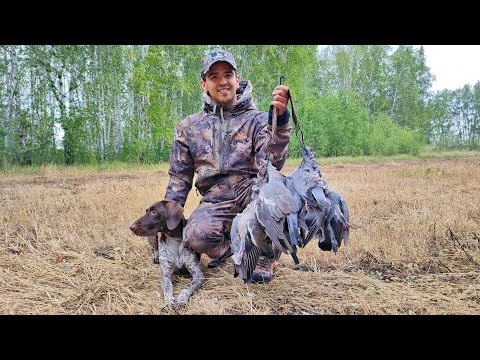 Видео: Супер-охота на вяхиря 2022 | Шикарные налёты и красивые выстрелы