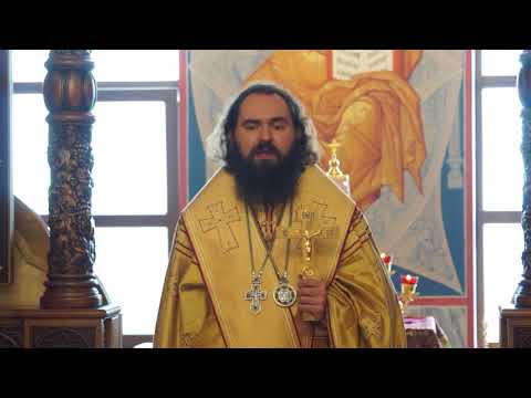 Видео: О том, как научиться кротости