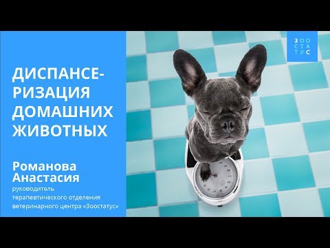 Видео: Диспансеризация животных