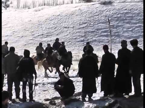 Видео: Бузкаши Панчакент  7