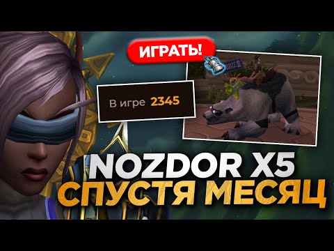 Видео: NOZDOR СПУСТЯ МЕСЯЦ! ЖИВ ИЛИ СКАТИЛСЯ?