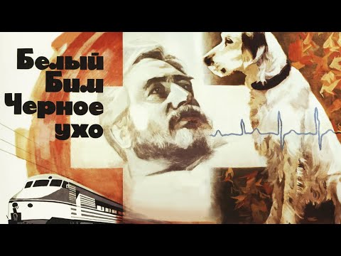Видео: Белый Бим Чёрное ухо 1 серия (1976)