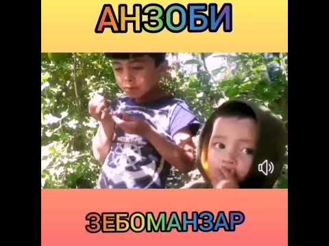 Видео: АНЗОБ! 🇭🇺