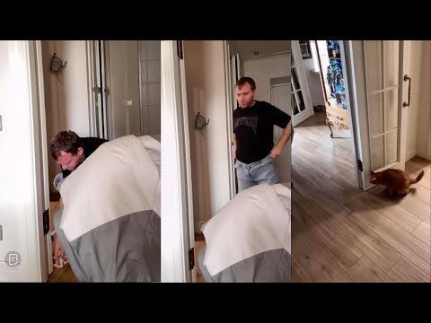 Видео: Убрал рв0ту Томаса, нужно к врачу, коту опять плохо / Самвел Адамян