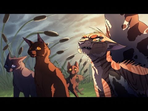Видео: Warriors cats - Все мои друзья входят во вкус - Метеор.