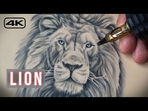 Видео: Урок по татуировке льва — реалистичный портрет