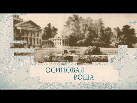 Видео: Осиновая роща / «Малые родины большого Петербурга»