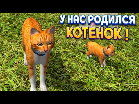 Видео: В СЕМЬЕ РОДИЛСЯ КОТЁНОК ( Cat Simulator )