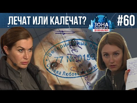 Видео: Осторожно, ветеринары по вызову! Зона особого внимания #60