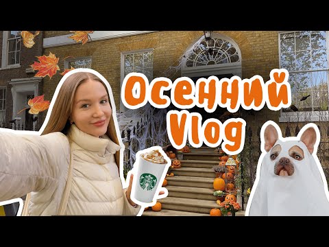 Видео: Осенний влог | Лондон | Французские бульдоги и первая годовщина свадьбы