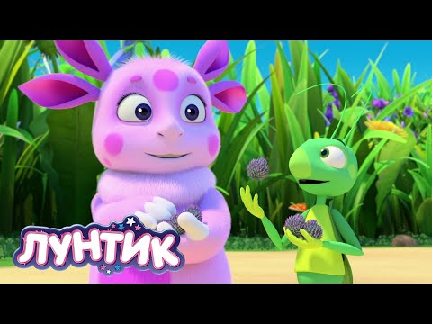 Видео: Лунтик | Красивая капля 💧💧💧 539 серия | Мультики для детей