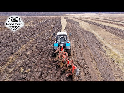 Видео: Тракторы МТЗ-1221 с оборотными плугами KUHN распахивают залежное поле по куриному помету!