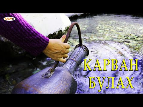 Видео: "Алам тв" Хан убадин "Карван" булахдал,  (куьруь репортаж).