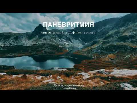 Видео: Паневритмия