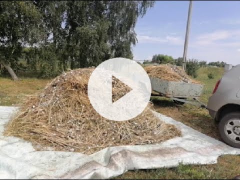 Видео: Приспособление для обрезки чеснока!!! Обработка чеснока играючи