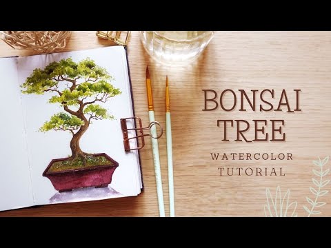 Видео: Дерево бонсай: урок по акварели