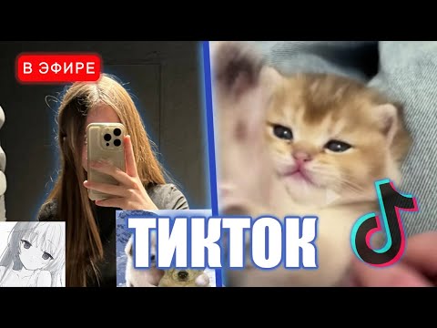 Видео: ЛИЗА СМОТРИТ ТИКТОКИ #20 🎉 | iceicell