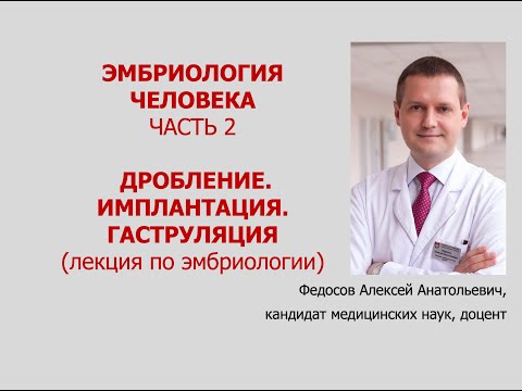 Видео: ЭМБРИОЛОГИЯ ЧЕЛОВЕКА. Ч. 2. ДРОБЛЕНИЕ, ИМПЛАНТАЦИЯ, ГАСТРУЛЯЦИЯ (лекция по эмбриологии)