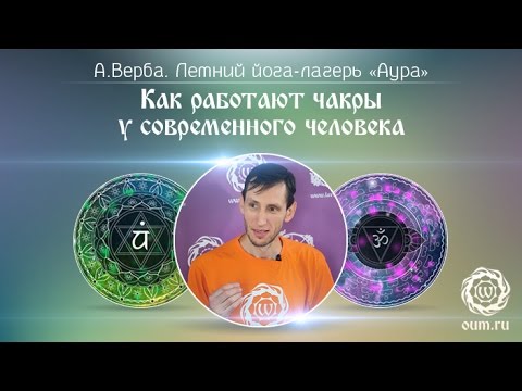 Видео: Как работают чакры у современного человека.А. Верба