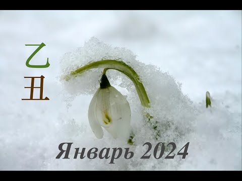 Видео: ЯНВАРЬ 2024: терпение и труд…