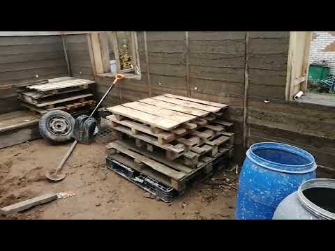 Видео: 8 октября 2025 г.