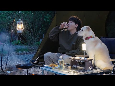 Видео: Солнечные лесные вибрации и ночи у костра 🐾 Весенний кемпинг с собакой