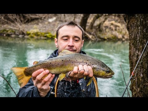 Видео: За пъстърви на р. Златна Панега