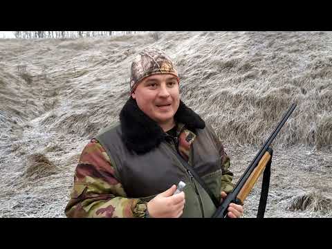 Видео: МР-155 отстрел картечи 8.5 главпатрон SilverShot 36г и 8.5ФЕТЕР 32 г. на 50м на осыпь, пробитие