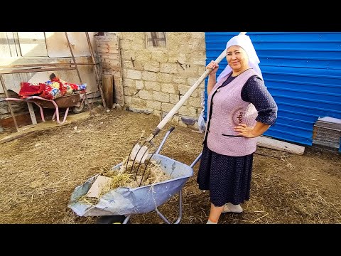 Видео: Жена взялась за хозяйство, а куры гуляет во дворе