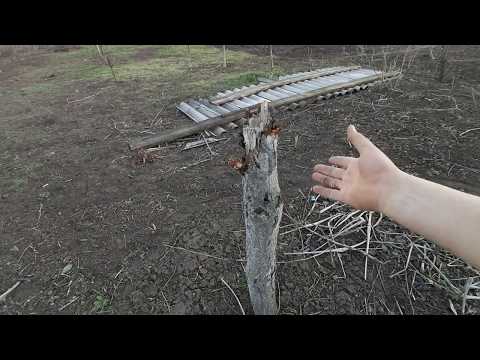 Видео: Тётя Шура КАК ТРАКТОР)))