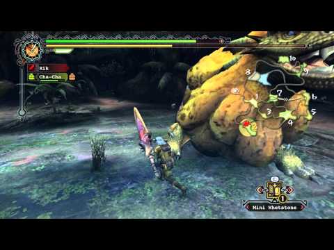Видео: Monster Hunter Tri [Эпизод 5] Вот это, я понимаю, монстр!