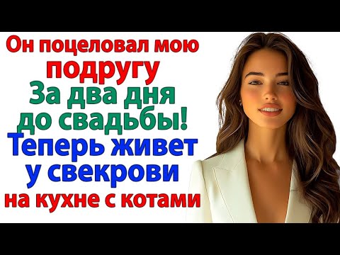 Видео: Я поймала его у подруги за 48 часов до свадьбы! Теперь живёт с котами на кухне у свекрови! невестка