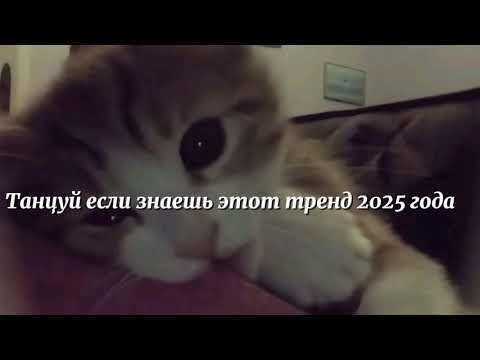 Видео: Танцуй если знаешь этот тренд 2025 года