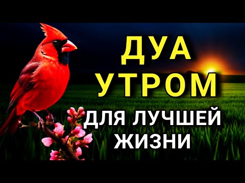 Видео: ДУА, КОТОРОЕ МЕНЯЕТ ВСЮ Твою ЖИЗНЬ! 🤲💫