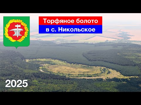 Видео: Торфяное болото, окрестности села Никольское, Кузнецкий район (27.07.2025)