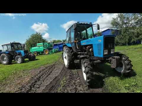 Видео: Засипаємо зерно.Проблеми з тракторами Мтз!