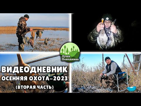 Видео: Вечерняя охота удалась. Готовлю шурпу из утки. Остался за хозяина | ОСЕННЯЯ ОХОТА-2023 (2 ЧАСТЬ)