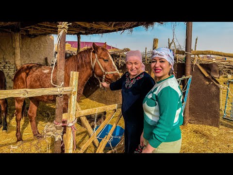 Видео: Узбекистан! КАЗАХСКИЙ аул! ЖИЗНЬ Пастуха в ПУСТЫНЕ! Рецепт настоящего БЕШБАРМАКА! Чабан!