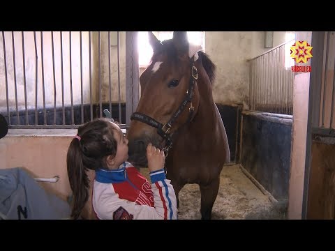 Видео: В Чувашии стартовало и открытое первенство по конкуру.