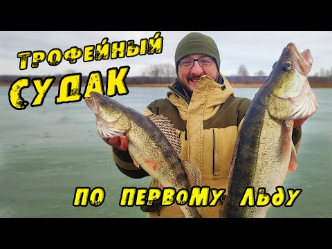 Видео: Вот это БРОДЯГА! Ушёл от толпы и ПОЙМАЛ ТРОФЕЯ! ЭТА ЛУНКА РАЗДАЁТ! Первый лëд 2023-24. Судак на вибы