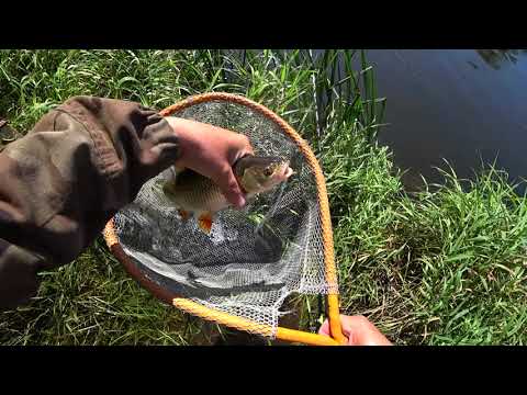 Видео: Немного, но поймал! Ловля на полудонку по большой воде в августе!