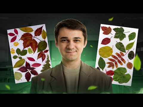 Видео: Задание №12. Все, чтобы решать задания на систематику | Биология с Мишей Гис | ЕГЭ 2026 | СМИТАП