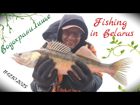 Видео: База отдыха,,Лесной рай,,С друзьями на рыбалке.Чигиринское вдхрнщ.11-12.10.2025.