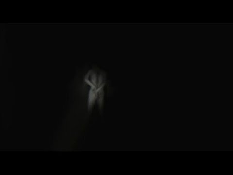 Видео: сборник world begemot kot закулисье страшные истории на ночь