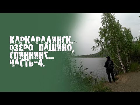 Видео: Каркаралинск.  озеро Пашино, спиннинг... Часть-4.