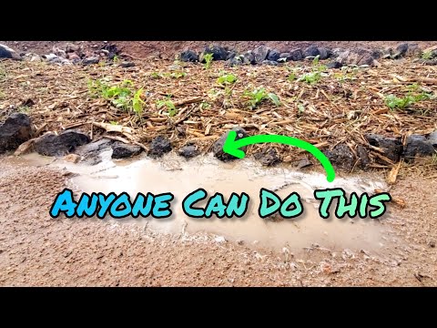 Видео: Метод «Высокогорная пустыня» превращает стоки в зелёные пастбища