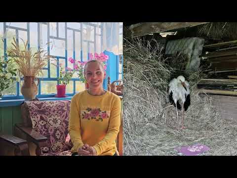 Видео: Жизнь на краю деревни возле леса в Беларуси. К ТАКОМУ МЫ БЫЛИ НЕ ГОТОВЫ...