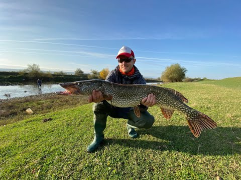 Видео: Риболов на трофейни риби през есента